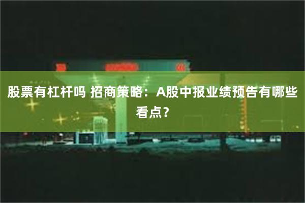 股票有杠杆吗 招商策略：A股中报业绩预告有哪些看点？