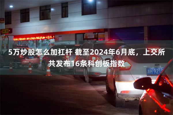 5万炒股怎么加杠杆 截至2024年6月底，上交所共发布16条科创板指数