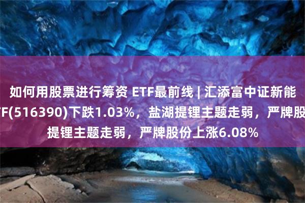 如何用股票进行筹资 ETF最前线 | 汇添富中证新能源汽车产业ETF(516390)下跌1.03%，盐湖提锂主题走弱，严牌股份上涨6.08%