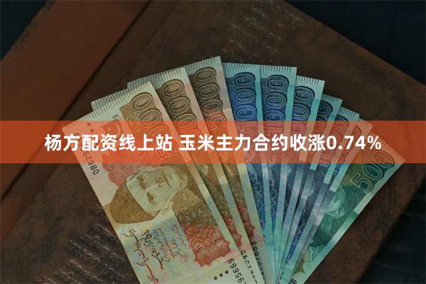 杨方配资线上站 玉米主力合约收涨0.74%