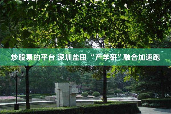 炒股票的平台 深圳盐田 “产学研”融合加速跑