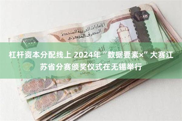 杠杆资本分配线上 2024年“数据要素×”大赛江苏省分赛颁奖仪式在无锡举行