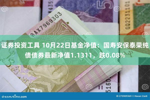 证券投资工具 10月22日基金净值：国寿安保泰荣纯债债券最新净值1.1311，跌0.08%