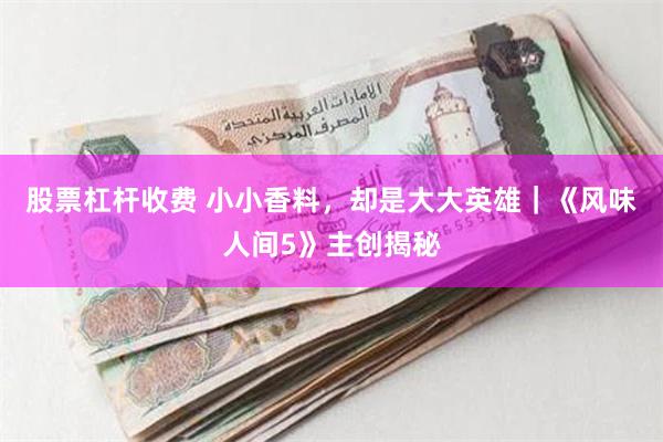 股票杠杆收费 小小香料，却是大大英雄｜《风味人间5》主创揭秘