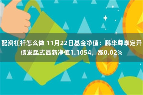 配资杠杆怎么做 11月22日基金净值：鹏华尊享定开债发起式最新净值1.1054，涨0.02%