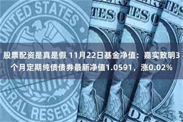 股票配资是真是假 11月22日基金净值：嘉实致明3个月定期纯债债券最新净值1.0591，涨0.02%