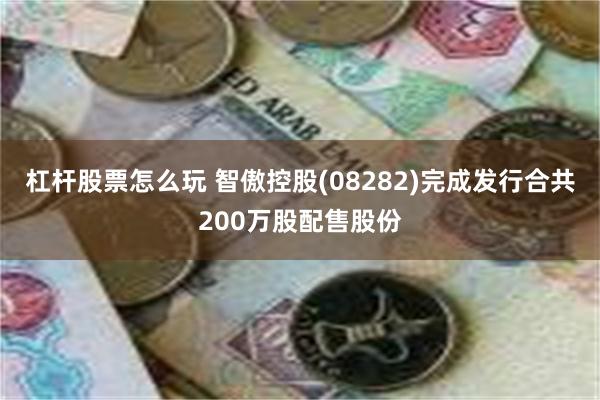 杠杆股票怎么玩 智傲控股(08282)完成发行合共200万股配售股份