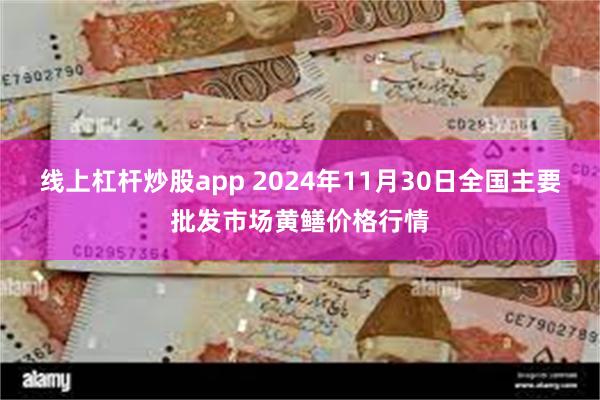 线上杠杆炒股app 2024年11月30日全国主要批发市场黄鳝价格行情