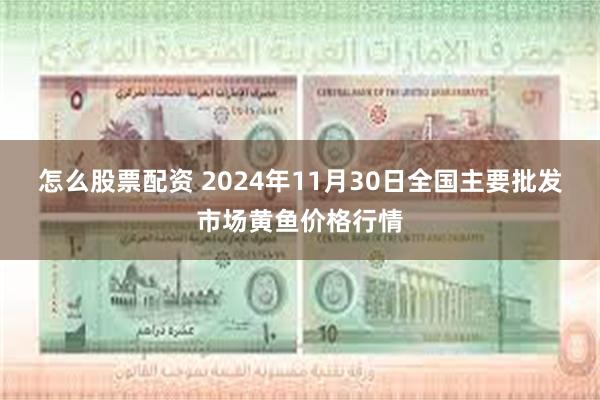 怎么股票配资 2024年11月30日全国主要批发市场黄鱼价格行情