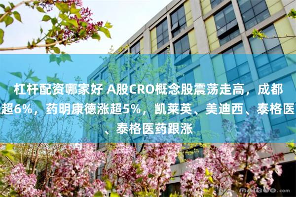 杠杆配资哪家好 A股CRO概念股震荡走高，成都先导涨超6%，药明康德涨超5%，凯莱英、美迪西、泰格医药跟涨