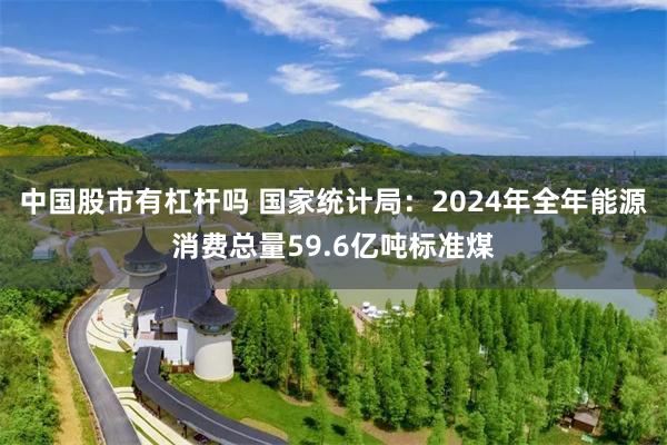 中国股市有杠杆吗 国家统计局：2024年全年能源消费总量59.6亿吨标准煤